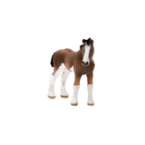 clydesdale foal