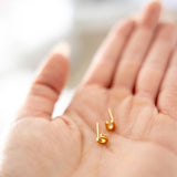 mini horseshoe earrings