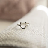 lucky horseshoe ring