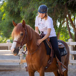 hooli the horse