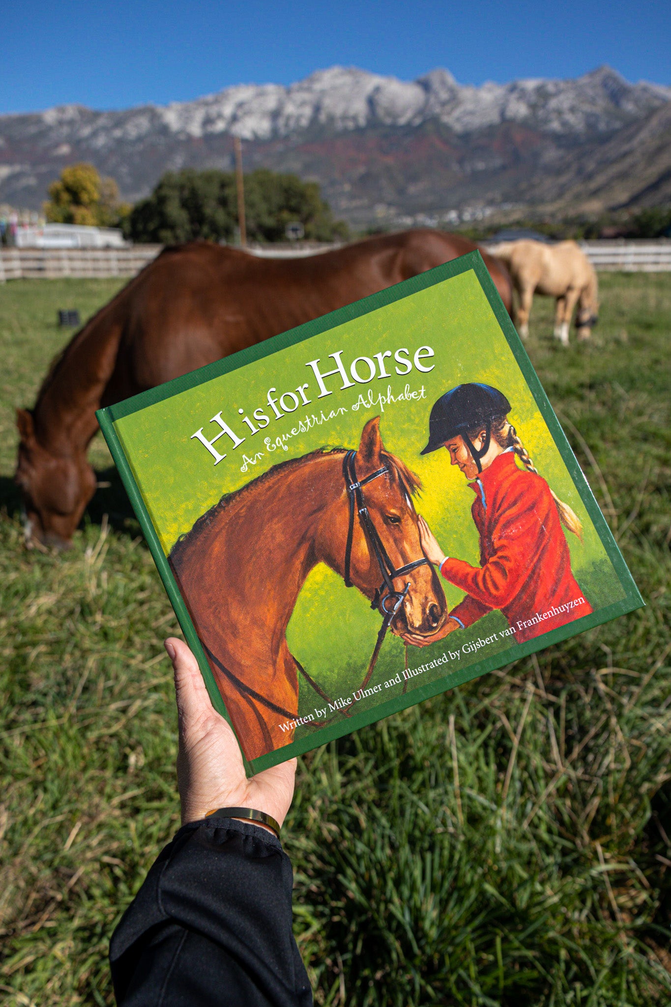 h is for horse
