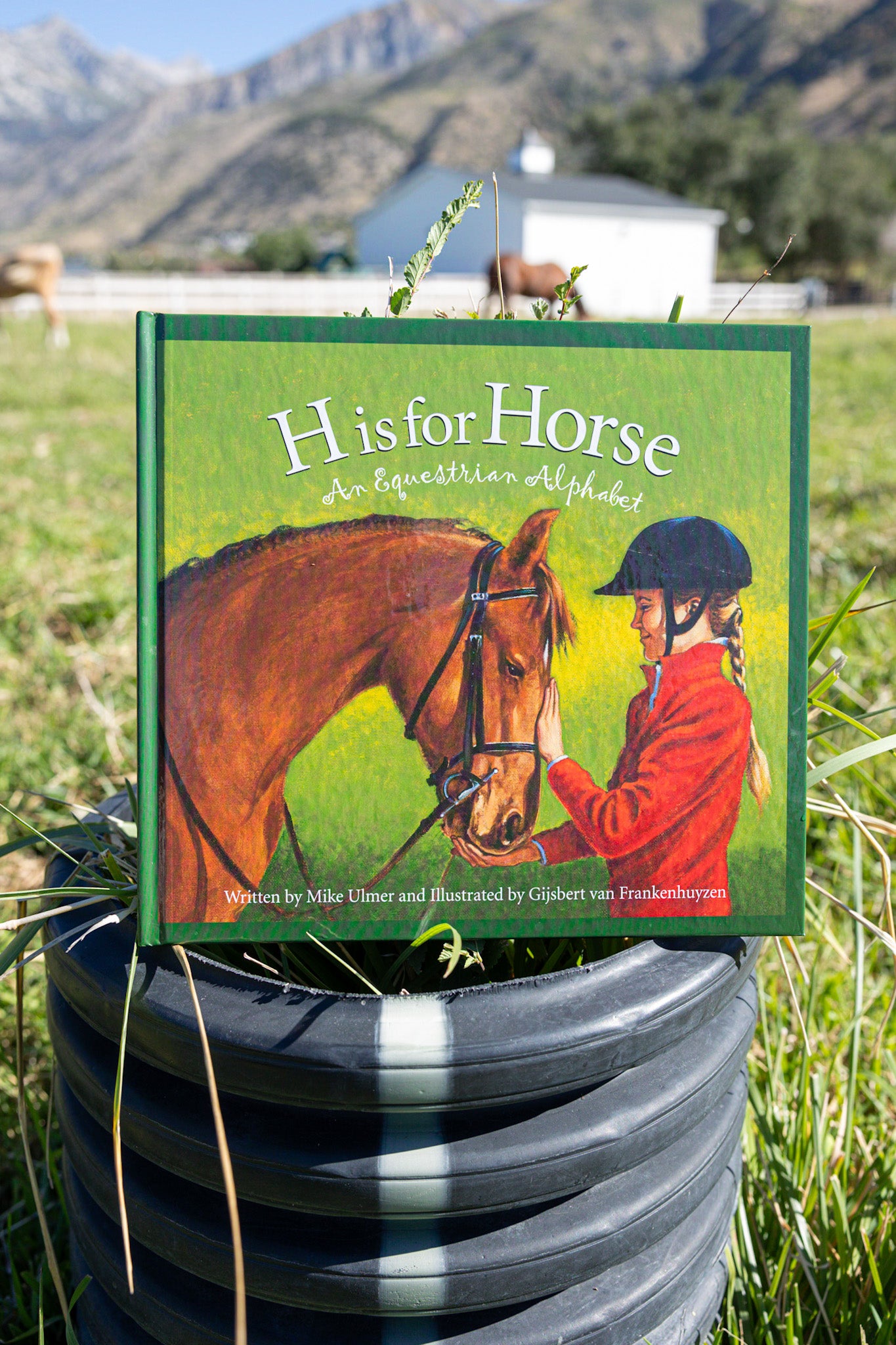 h is for horse