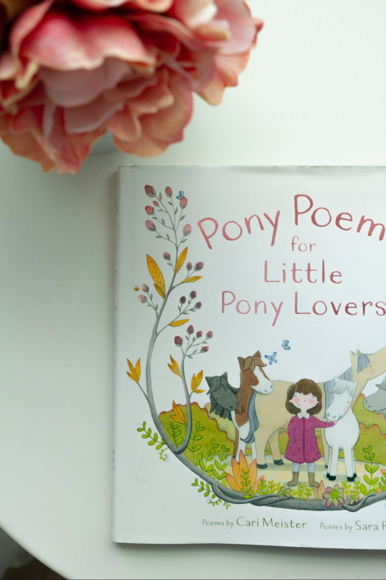 Pony Poems for Little Pony Lovers