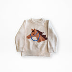 Pony Pal Boy's Knit Sweater