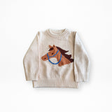 Pony Pal Boy's Knit Sweater