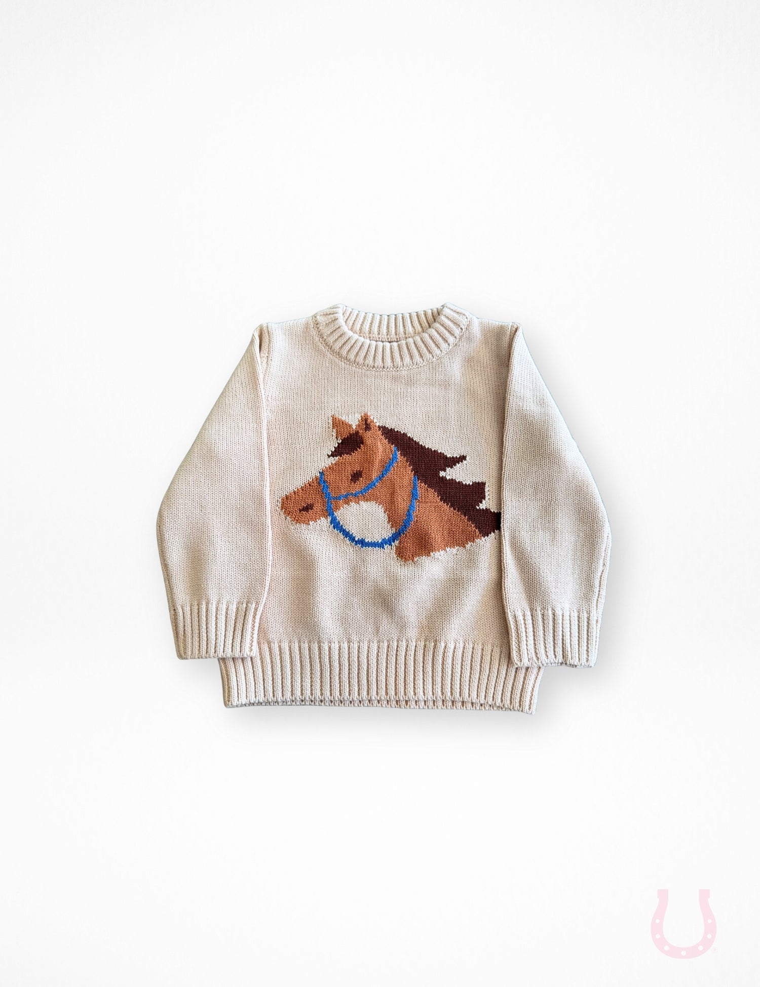 Pony Pal Boy's Knit Sweater
