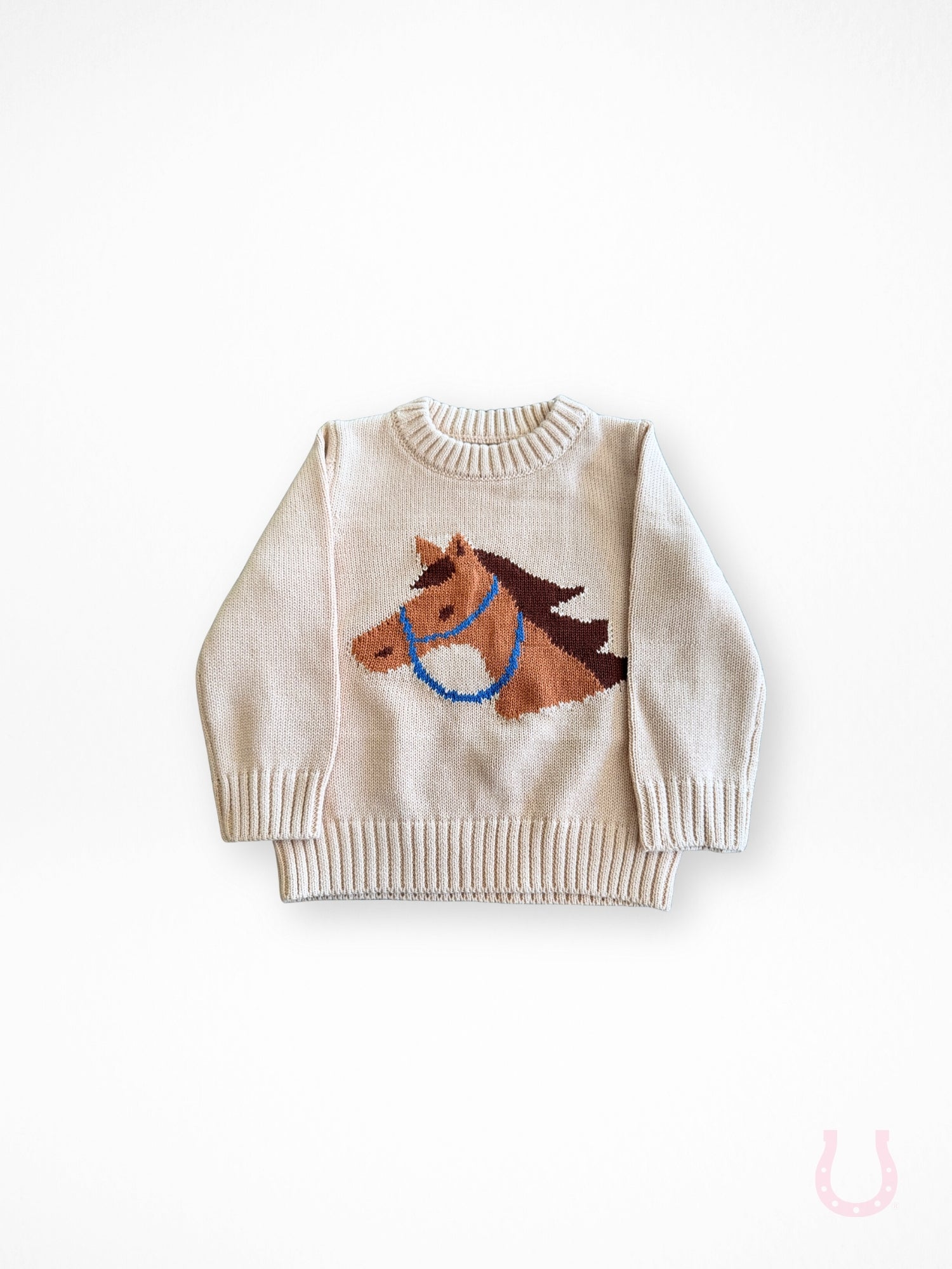 Pony Pal Boy's Knit Sweater