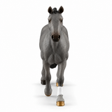 Stormy the Gray Stallion