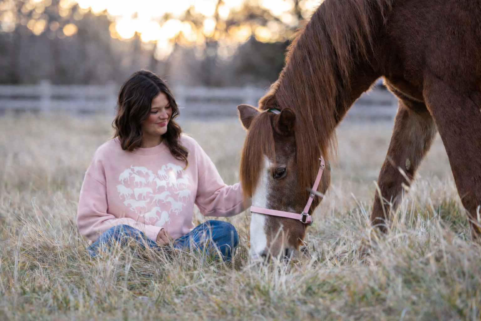 My Love of Horses Sweatshirt
