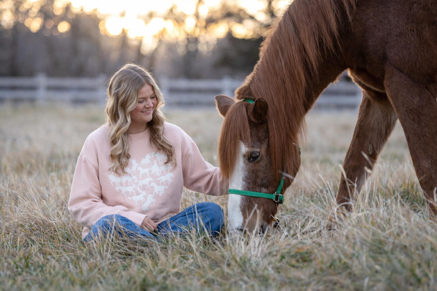 My Love of Horses Sweatshirt