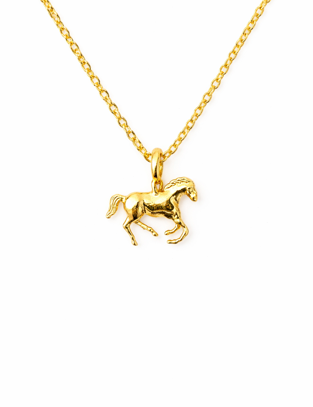 Year of the Horse Necklace