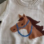 Pony Pal Boy's Knit Sweater