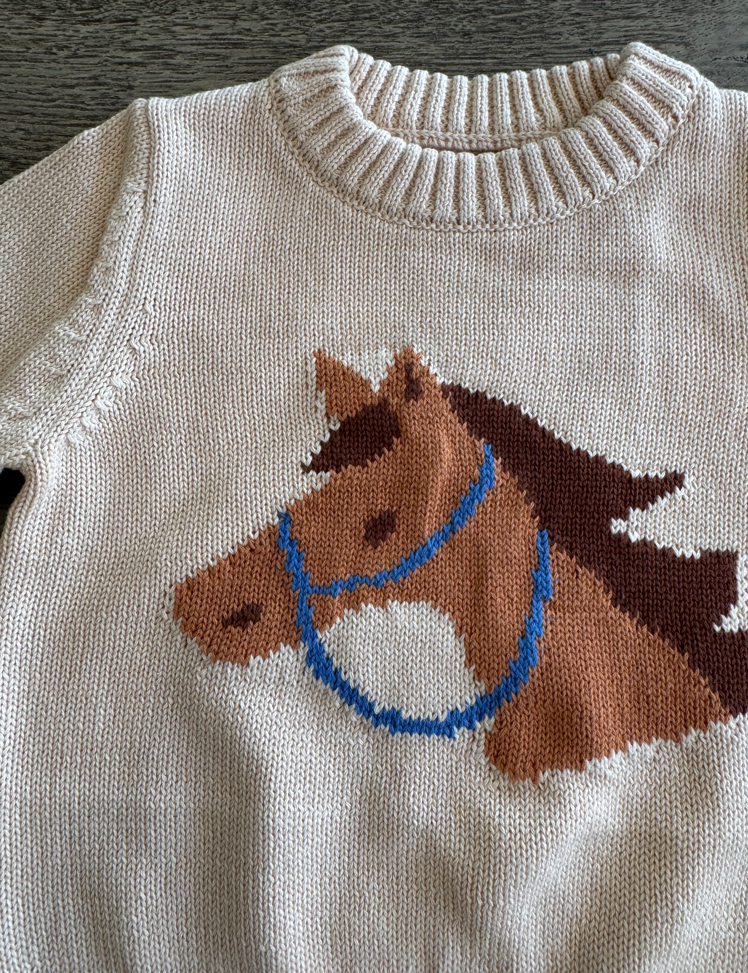 Pony Pal Boy's Knit Sweater
