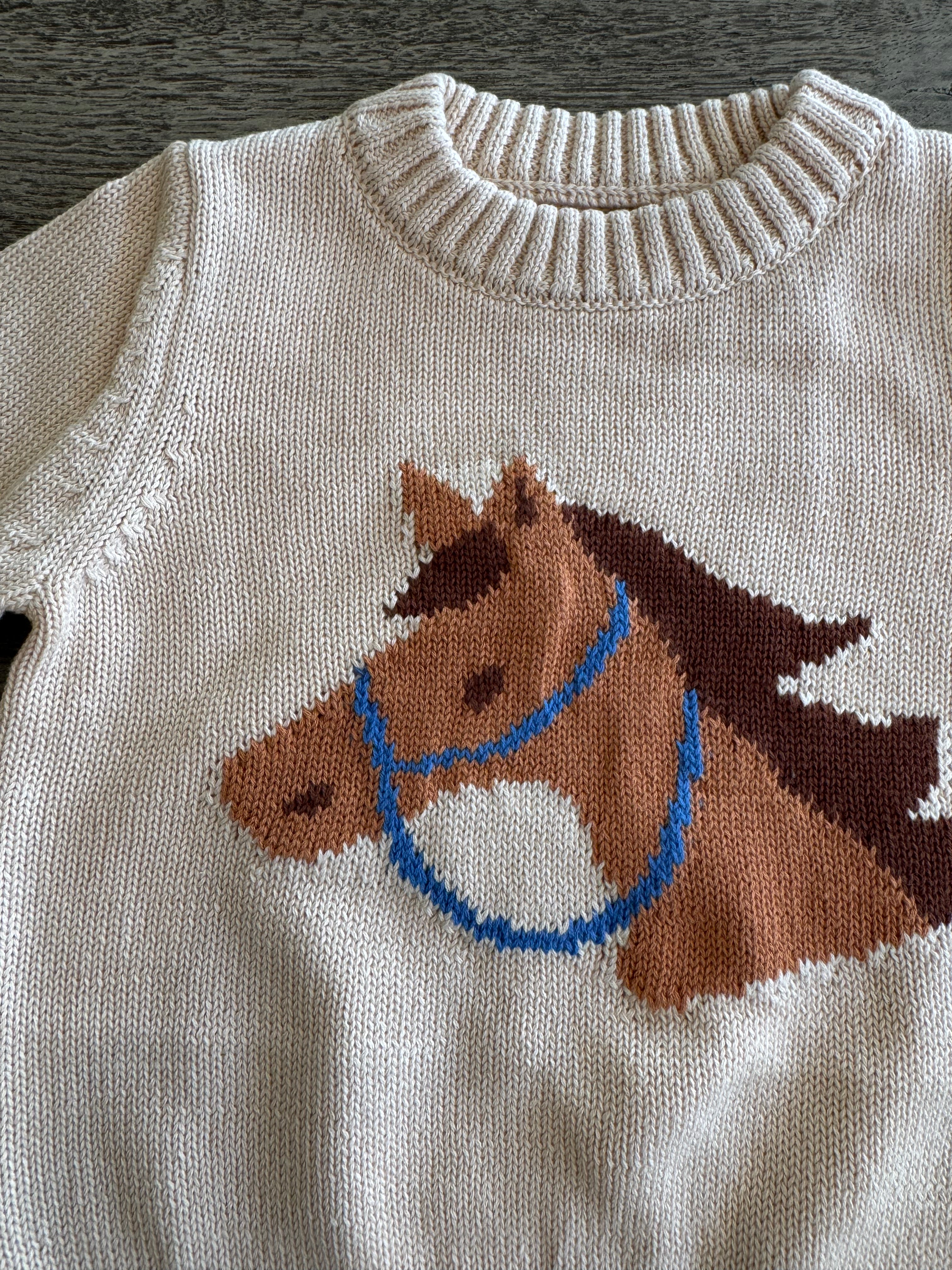Pony Pal Boy's Knit Sweater