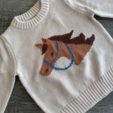 Pony Pal Boy's Knit Sweater