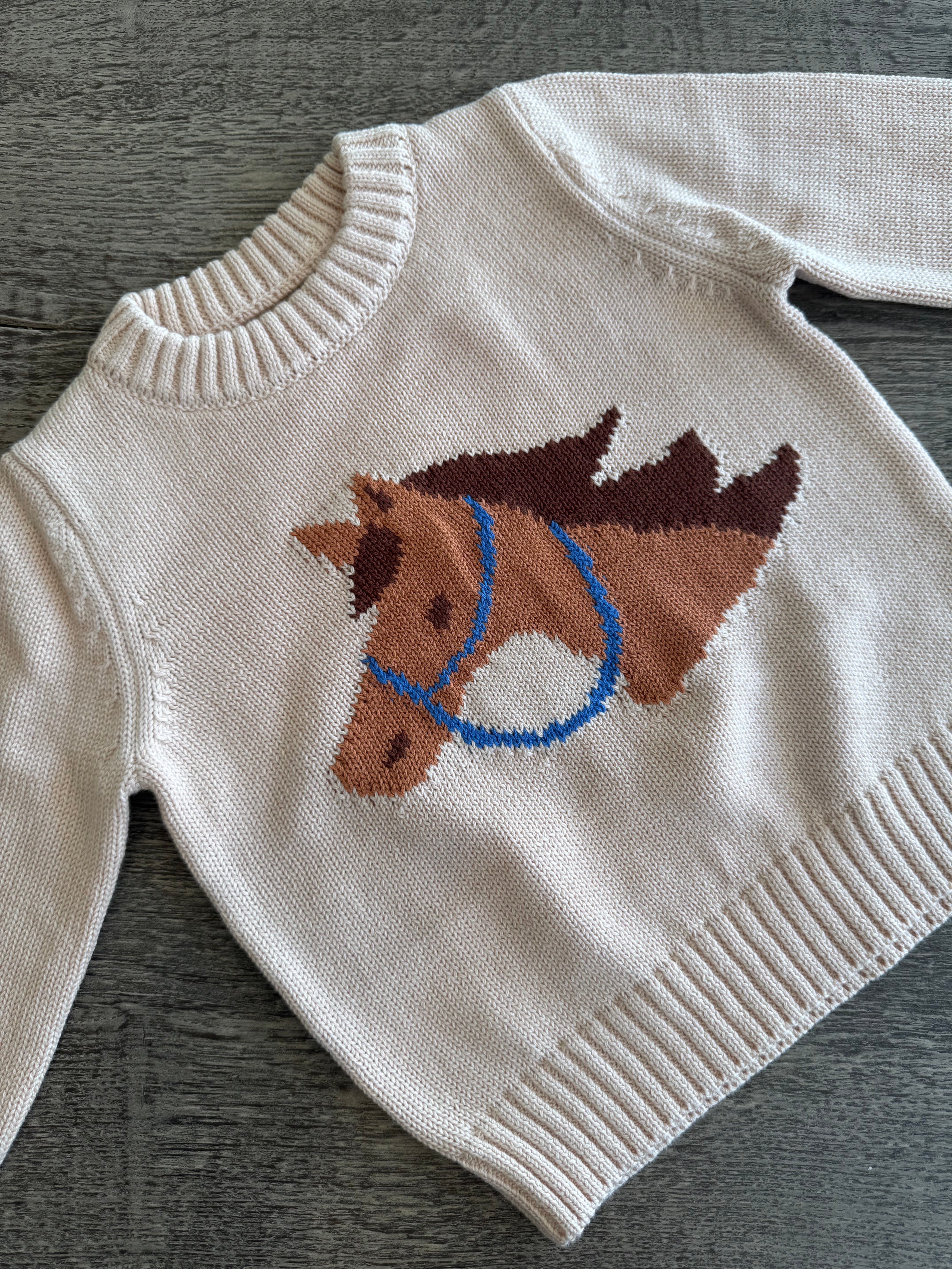 Pony Pal Boy's Knit Sweater