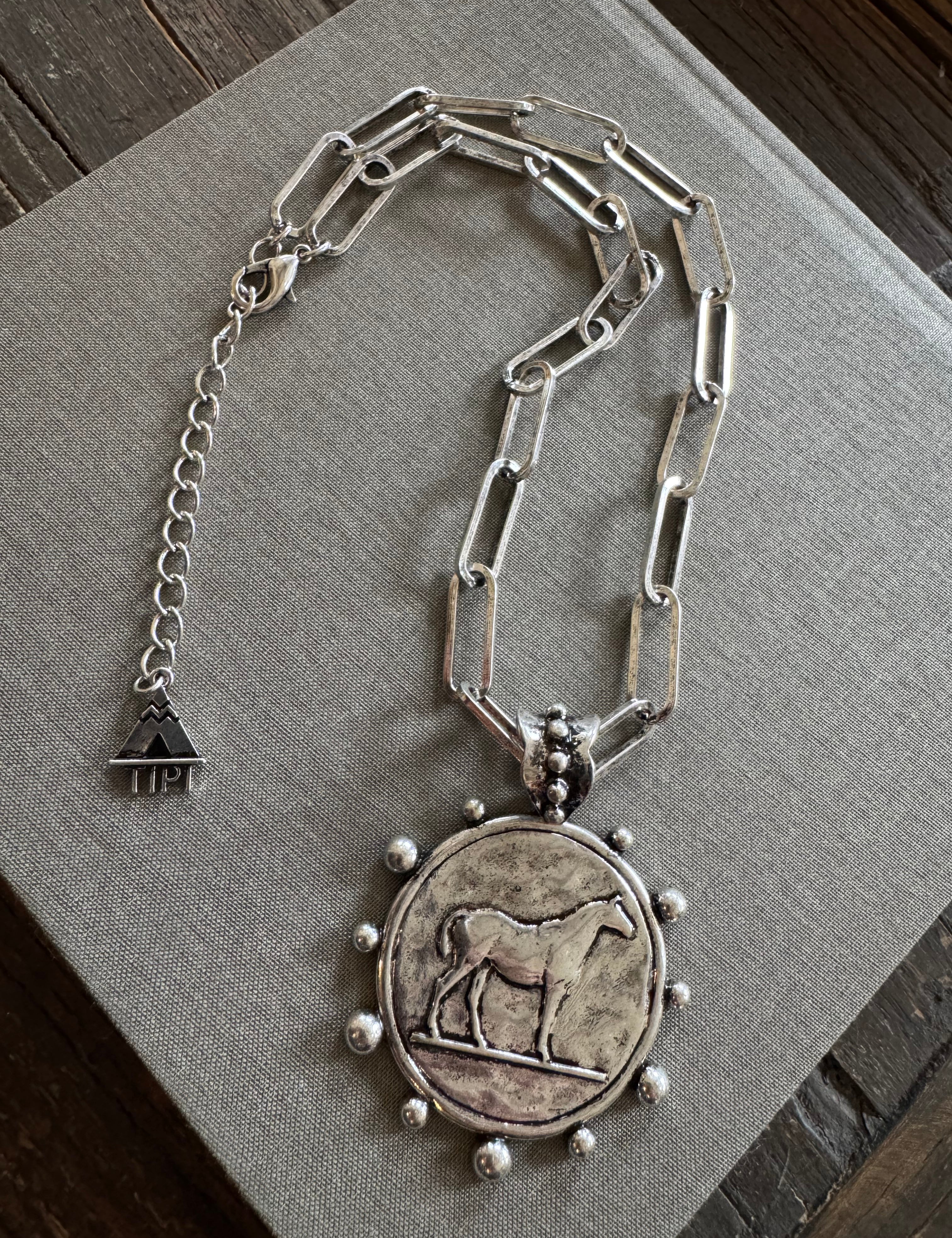 Equestrian Coin Necklace + Earrings Set