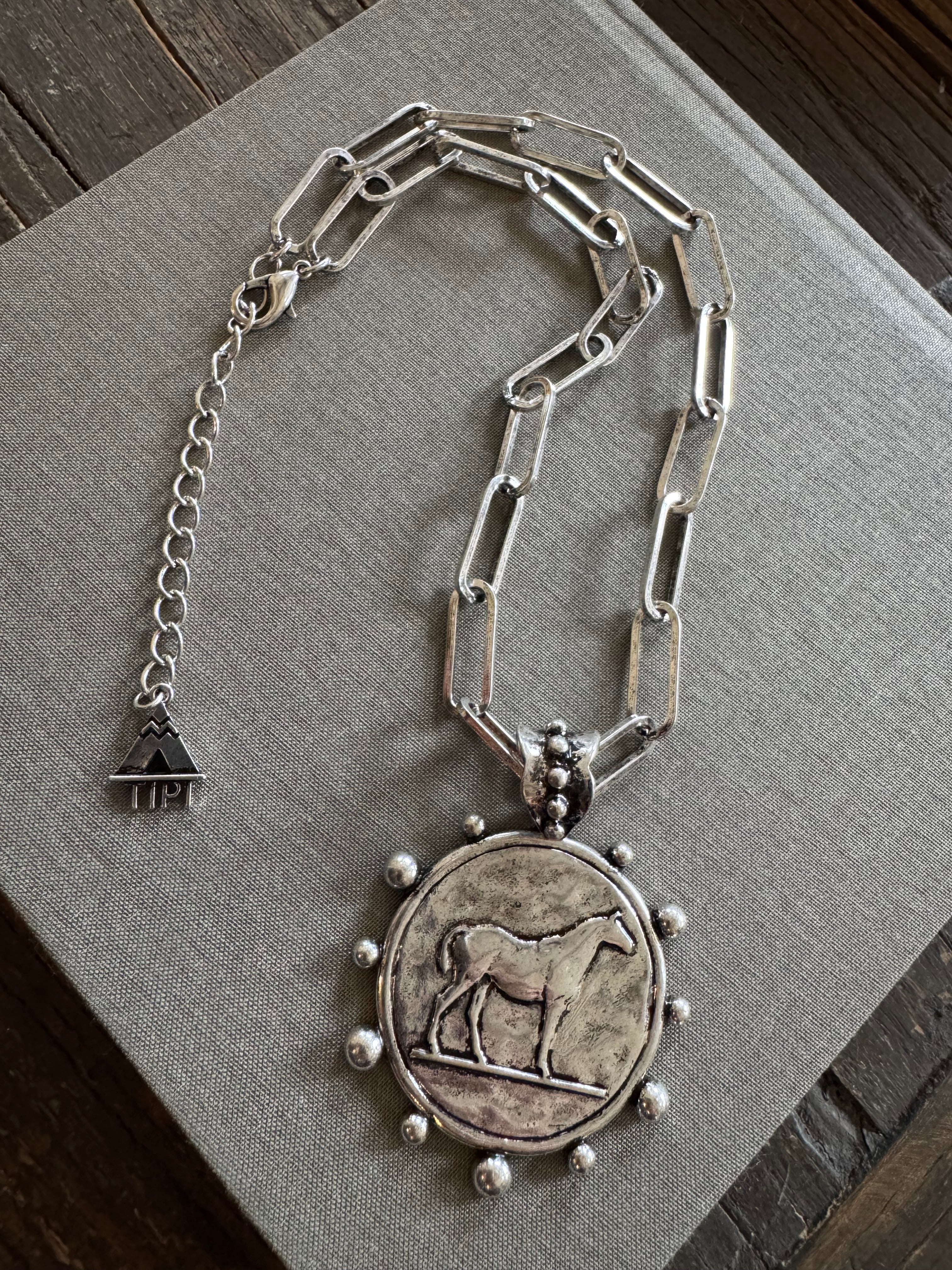 Equestrian Coin Necklace + Earrings Set