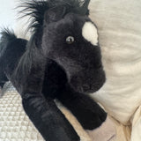 black beauty