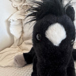 black beauty
