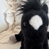 black beauty