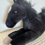 black beauty