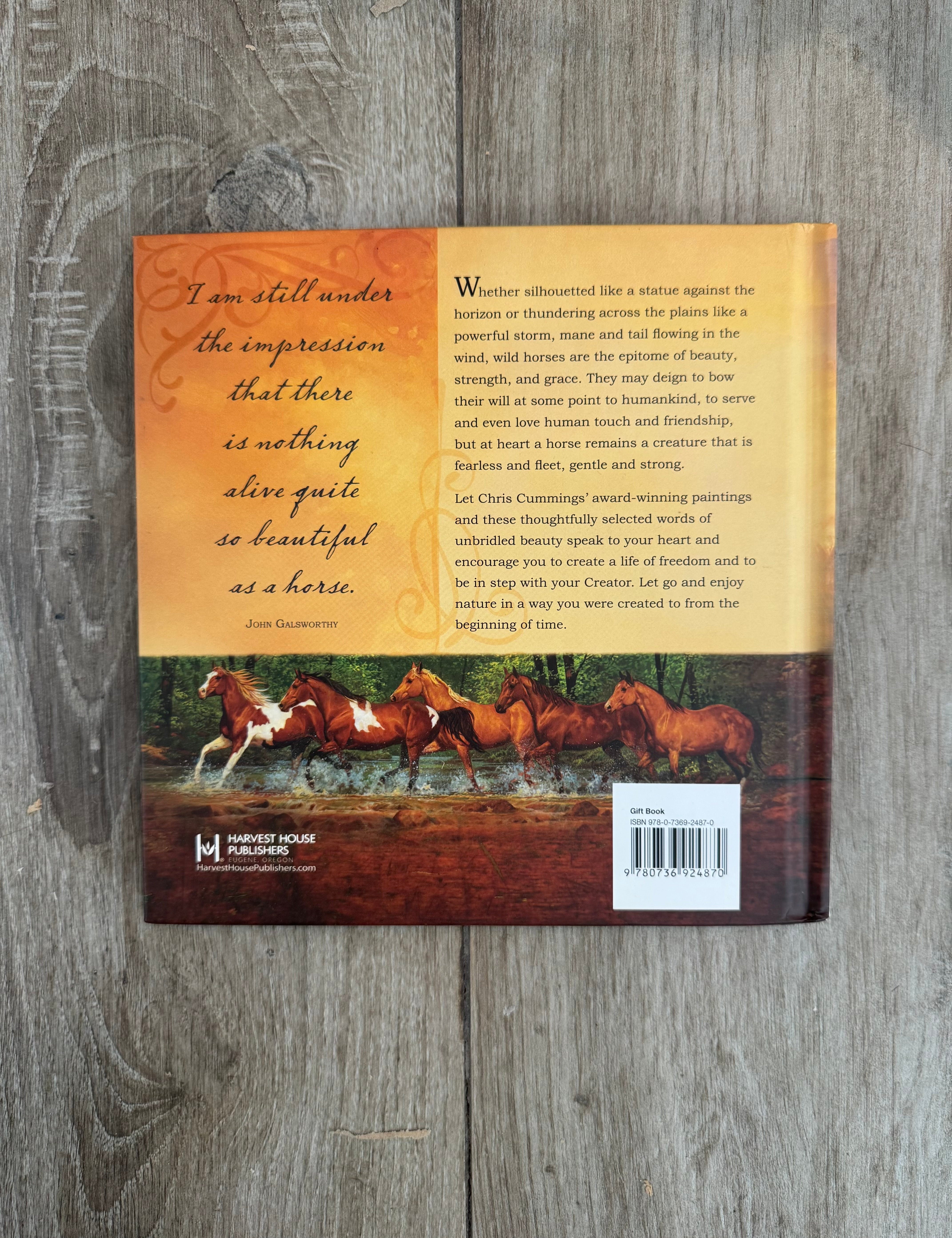 Unbridled Beauty: Celebrating the Spirit of Horses