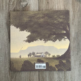 Brave Old Blue: A Horse Rescue Story