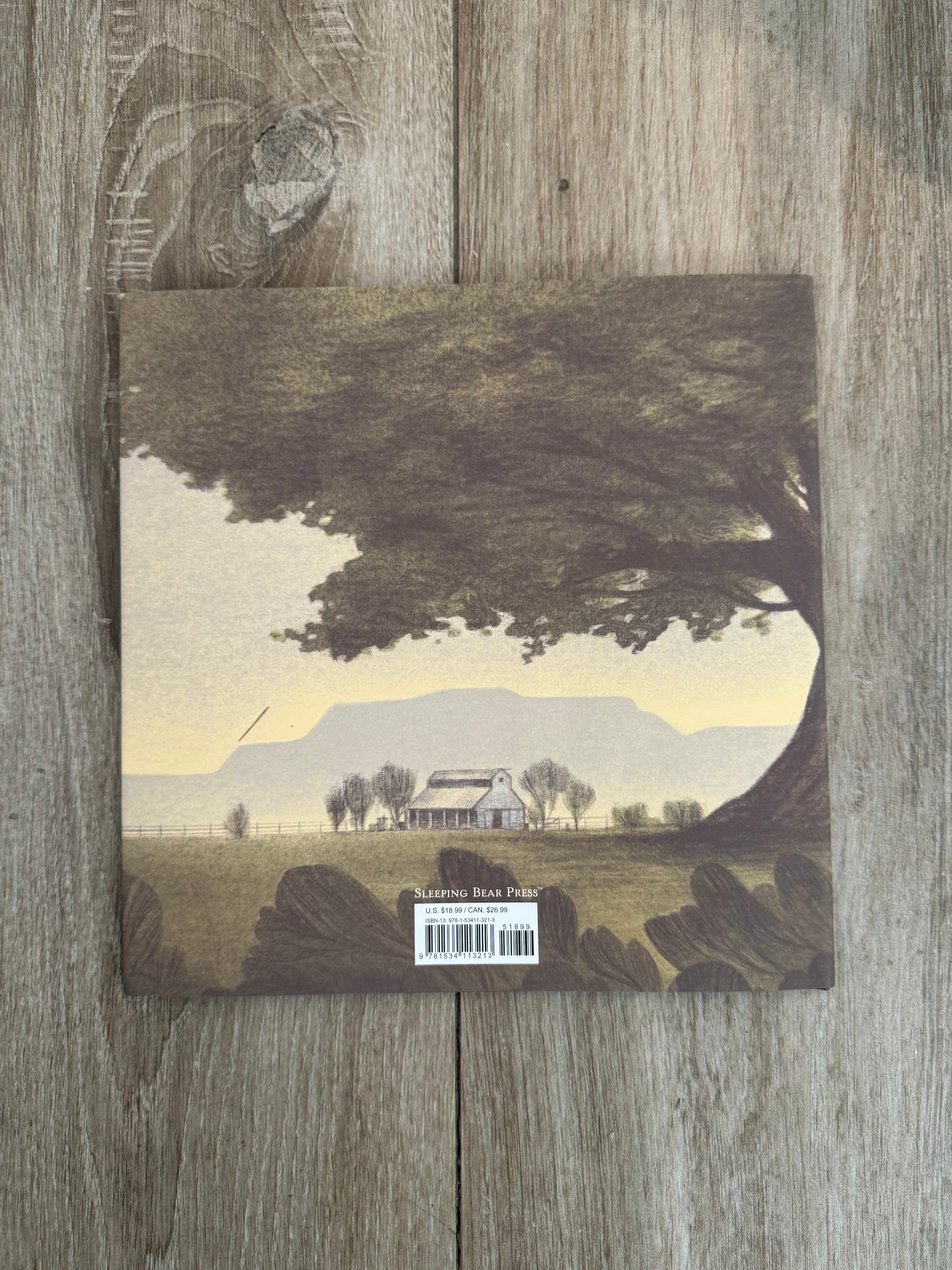 Brave Old Blue: A Horse Rescue Story