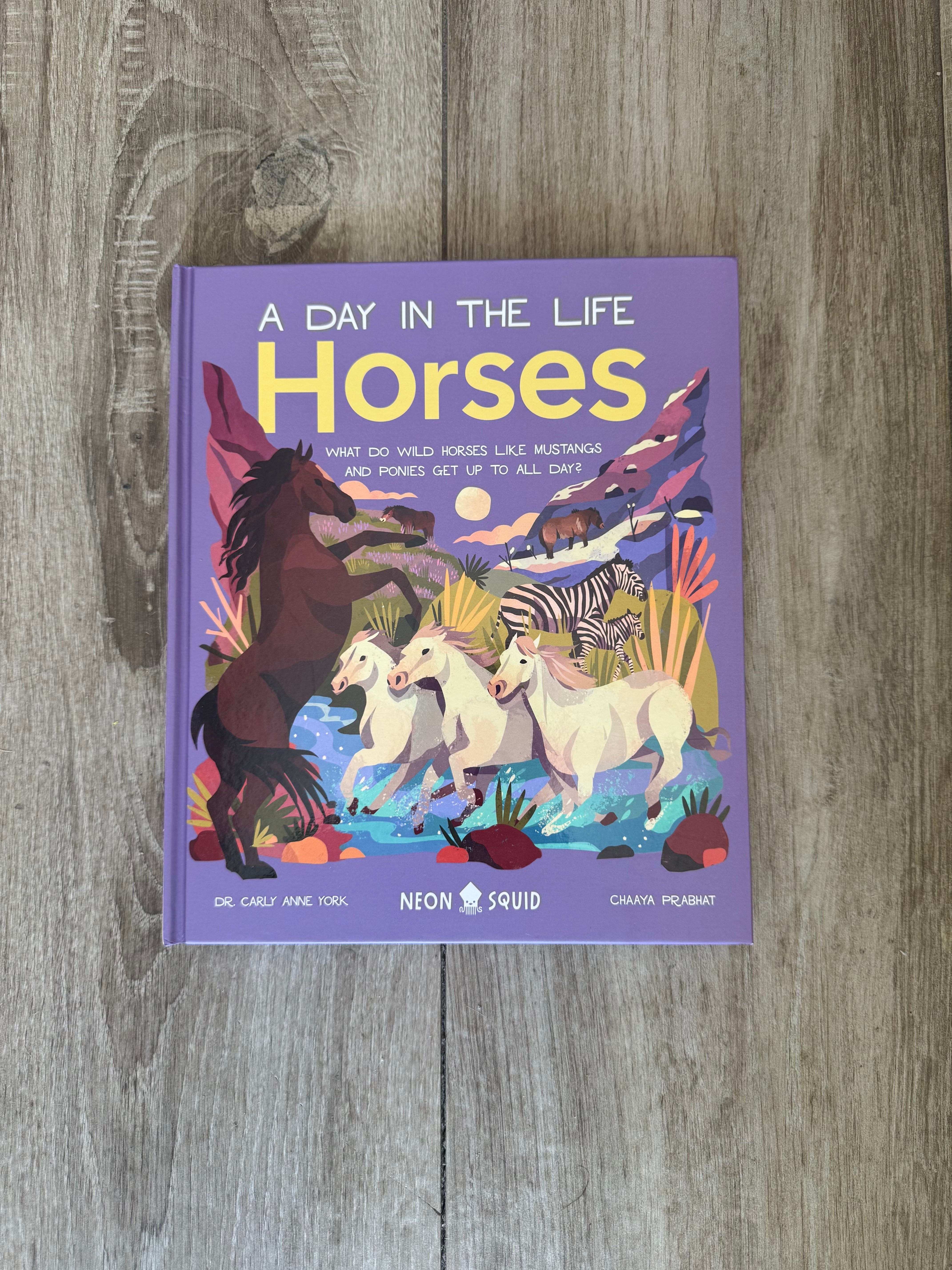 A Day In The Life of Horses