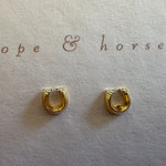 giddyup earrings