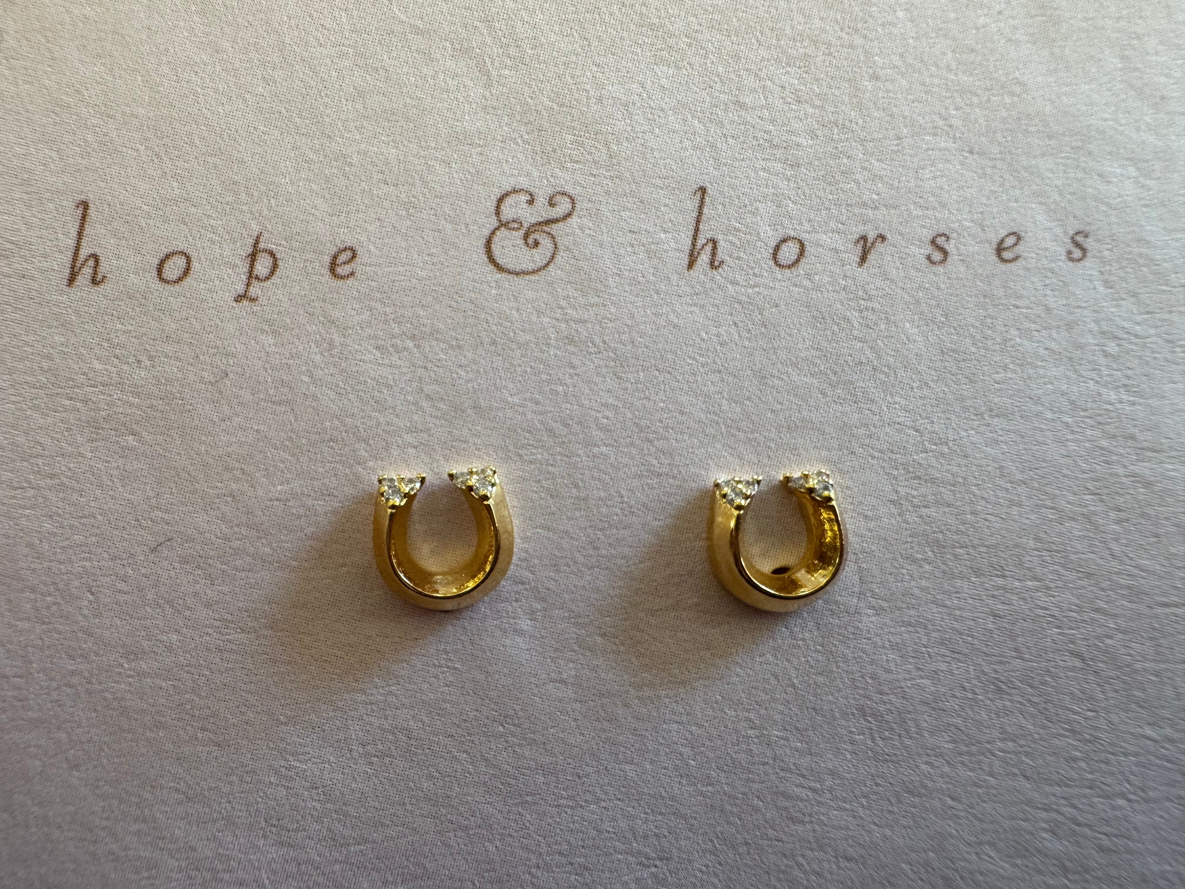 giddyup earrings