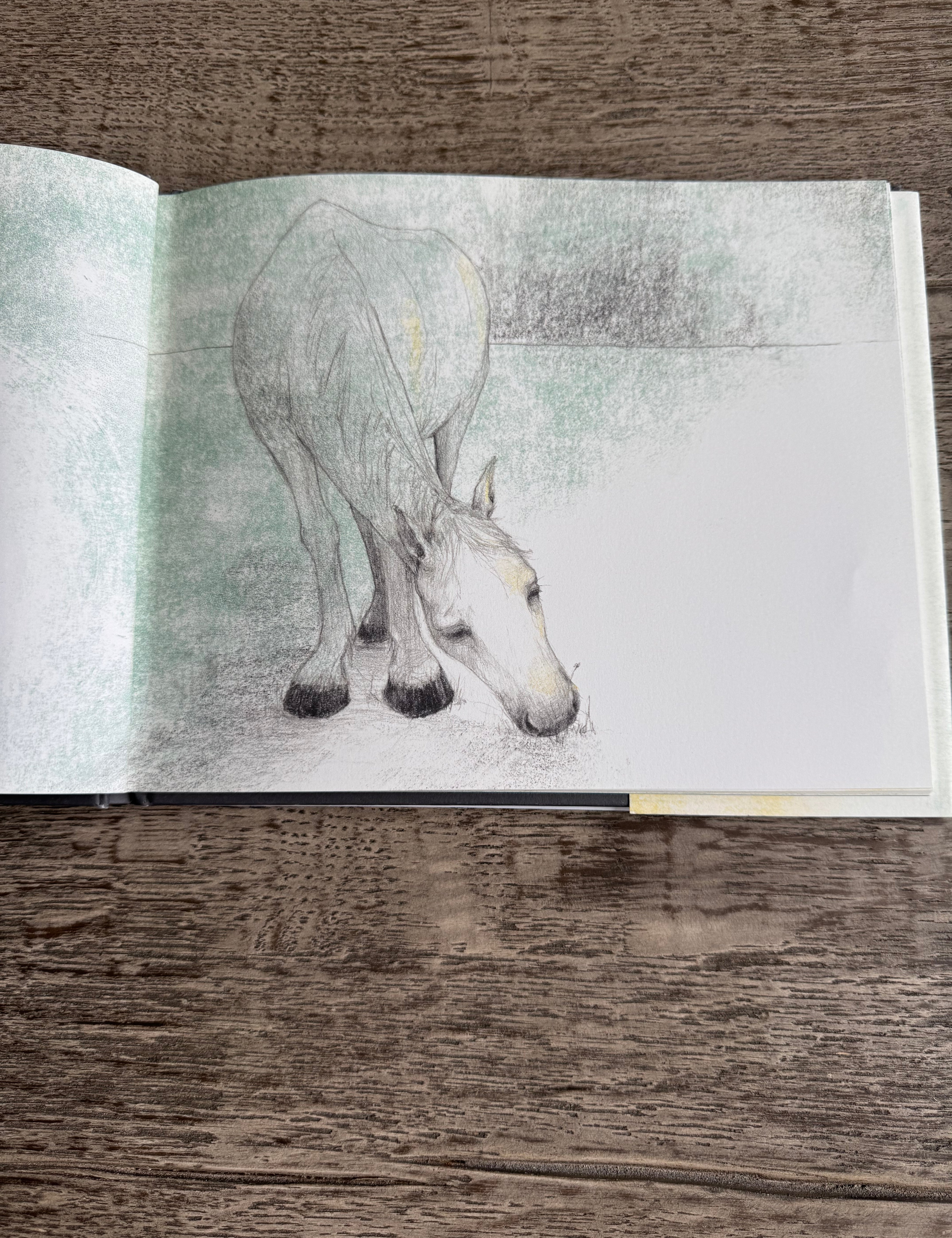 Tony The Horse Book