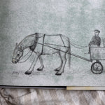 Tony The Horse Book