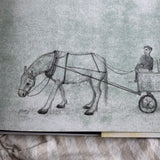 Tony The Horse Book