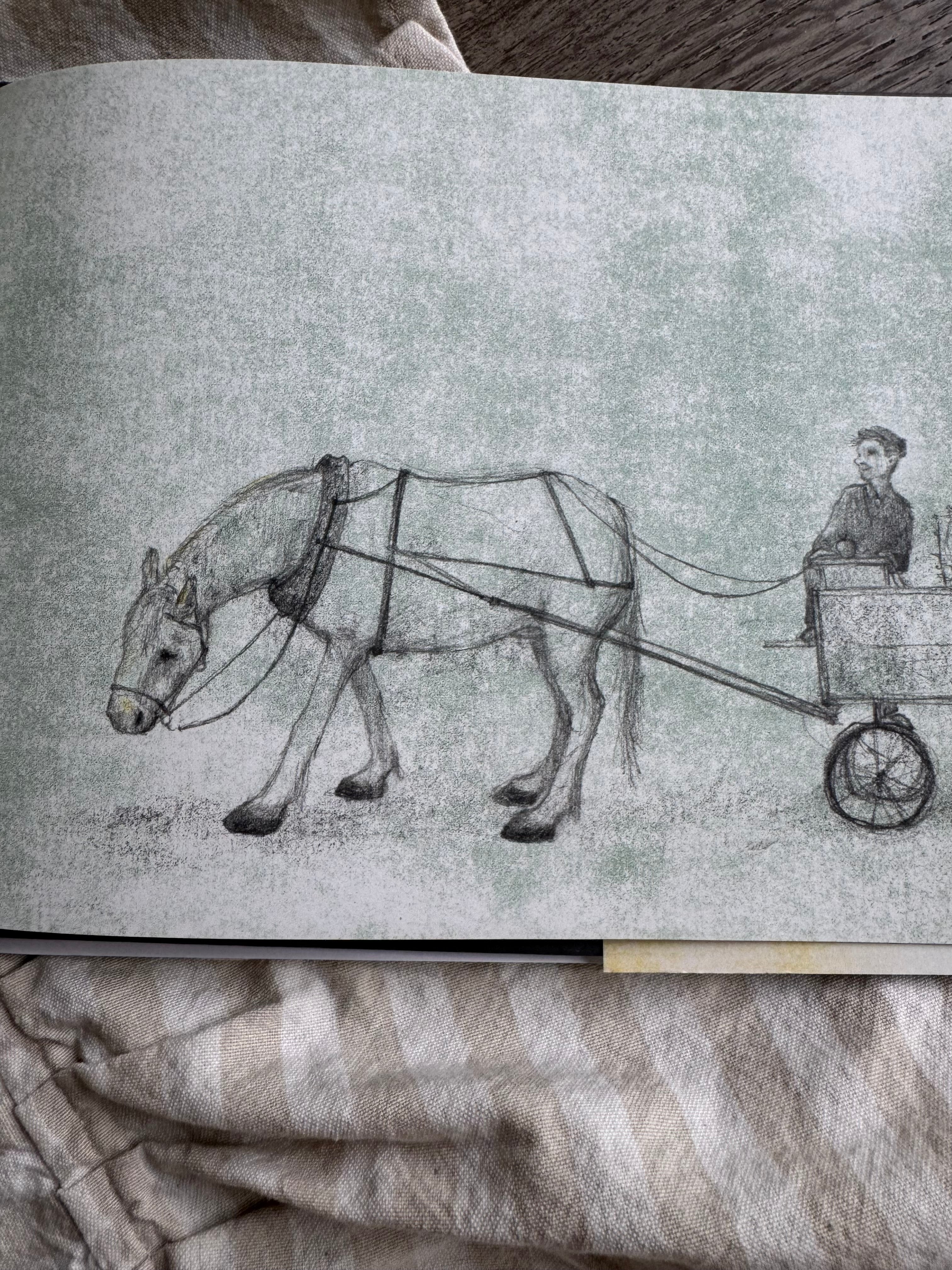 Tony The Horse Book