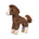 scout the appaloosa horsie