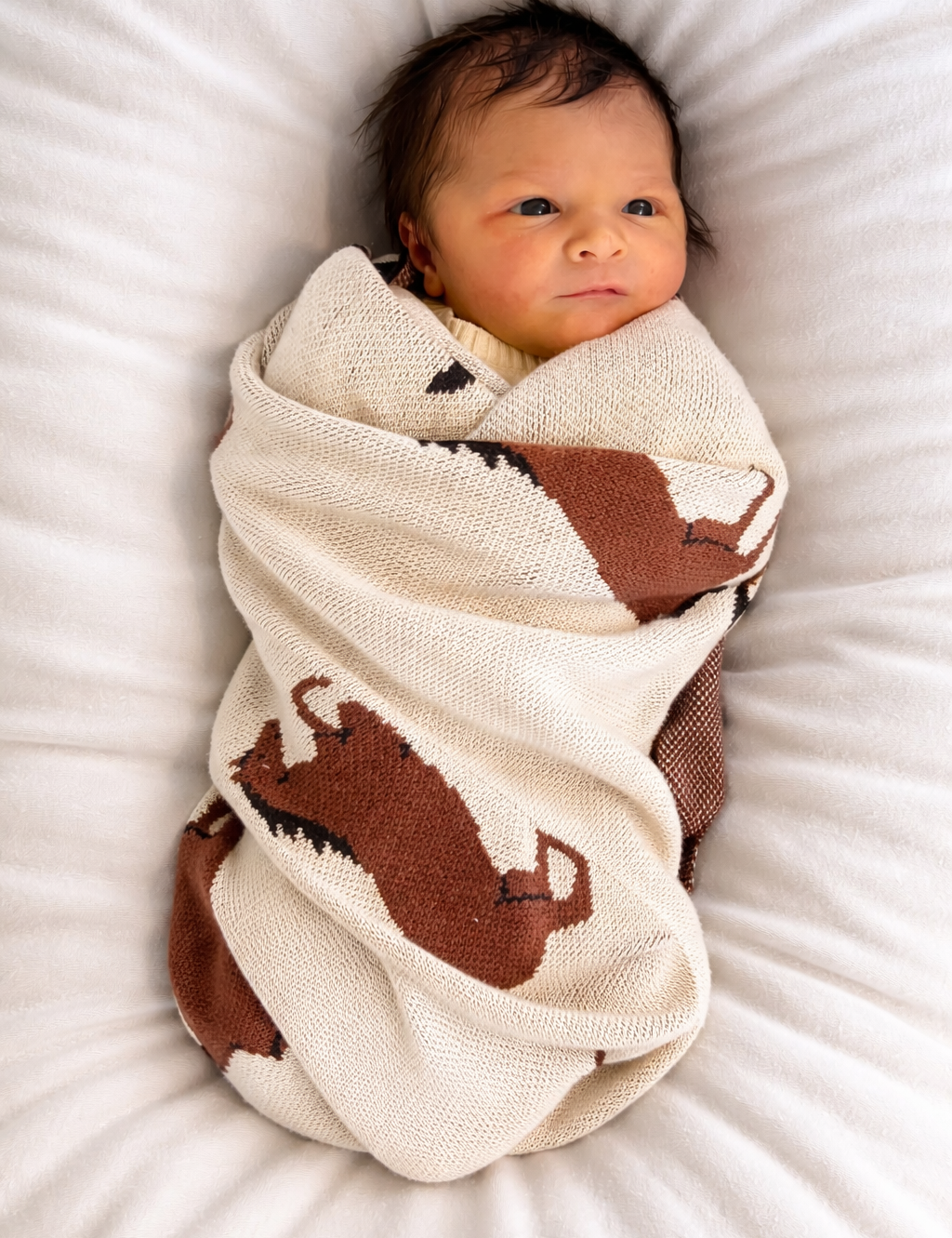 Horse Organic Knit Baby Blanket