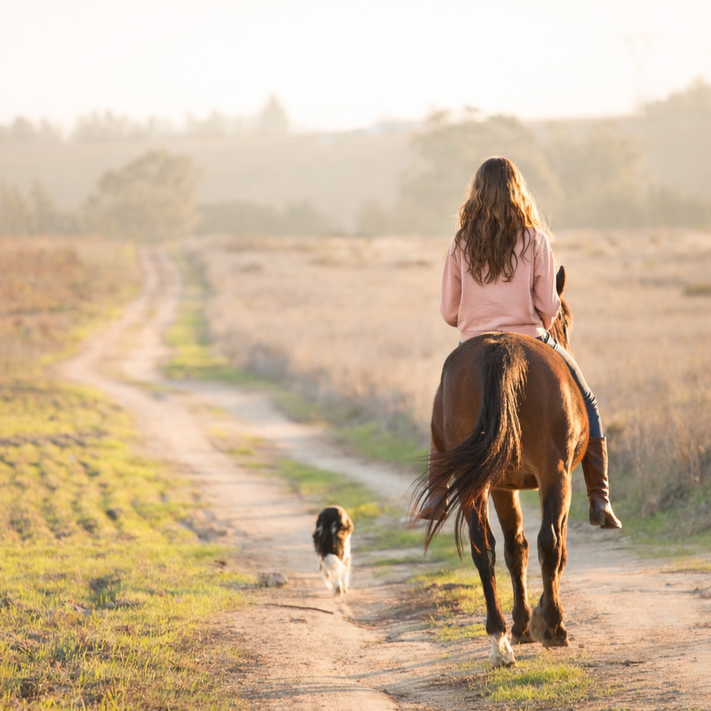 Howdy Vintage Rose Pigment-Dyed Sweatshirt