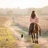 Howdy Vintage Rose Pigment-Dyed Sweatshirt