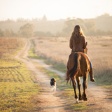 I Love Horses Sweatshirt (Brown)