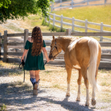 Montego - A Hope Horsie