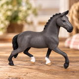 Stormy the Gray Stallion