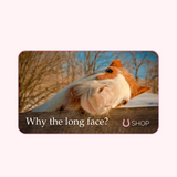 why the long face gift card