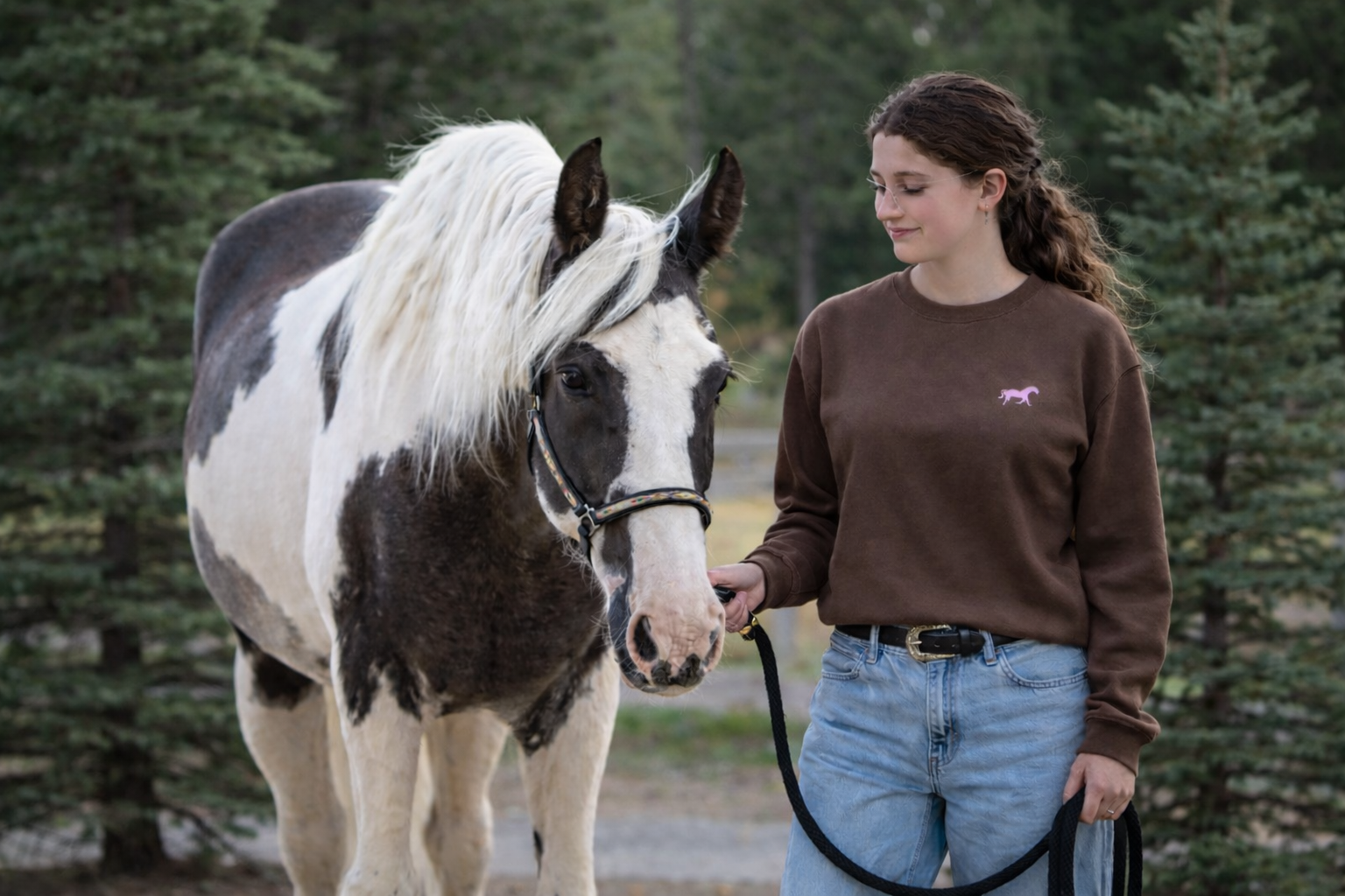 Chestnut Charm Sweatshirt