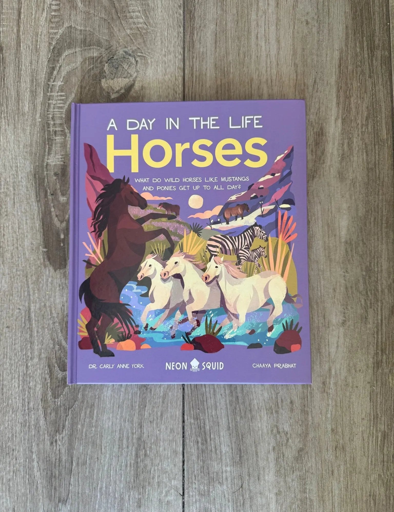 A Day In The Life of Horses - Bridle Up Hope Shop