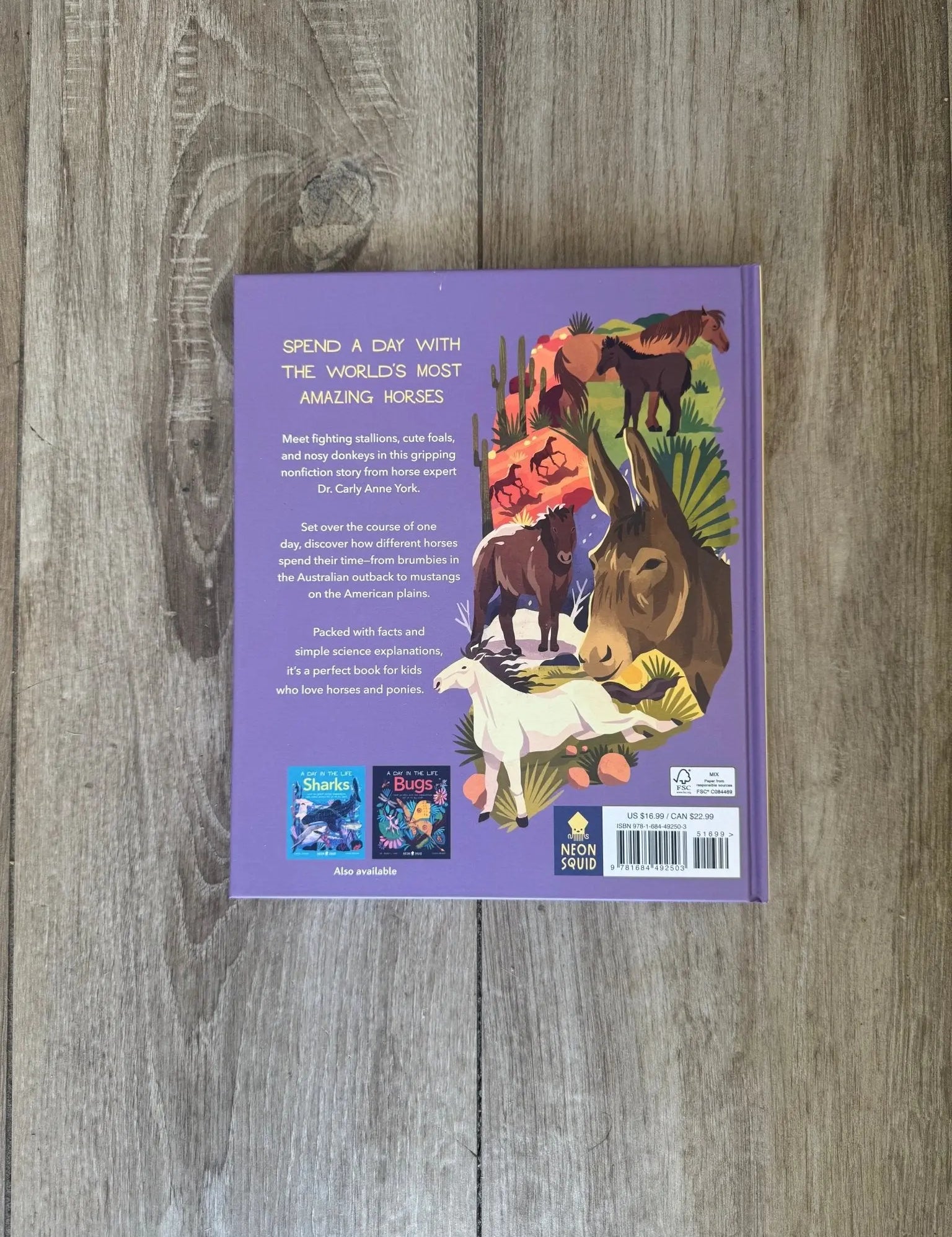 A Day In The Life of Horses - Bridle Up Hope Shop