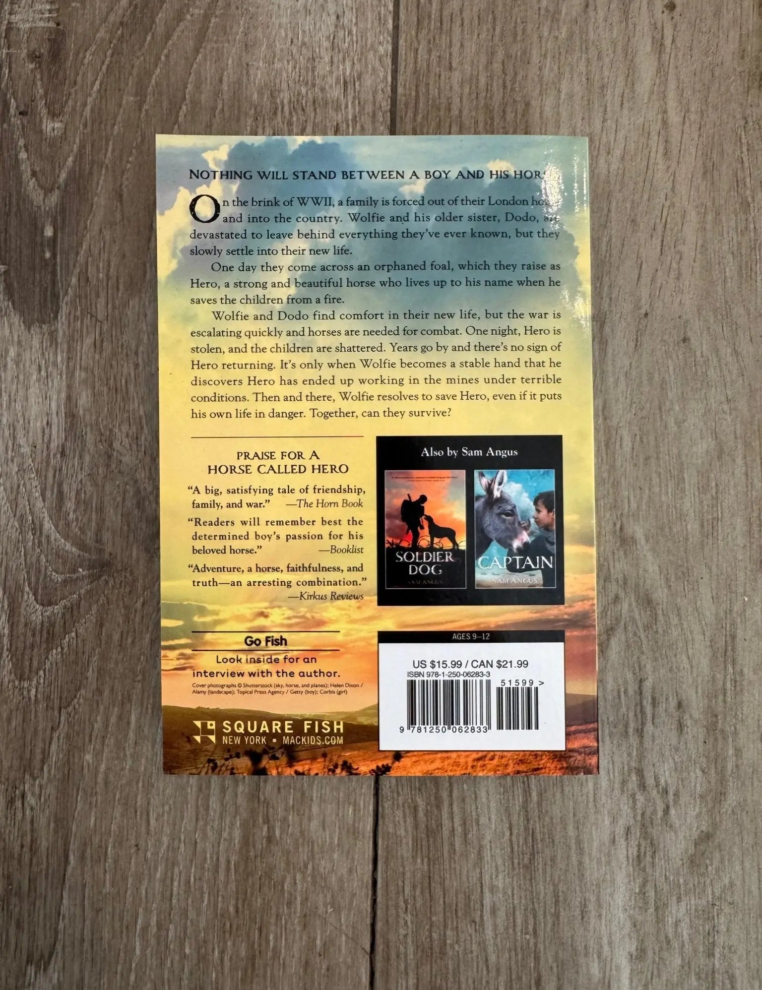 A Horse Called Hero - Bridle Up Hope Shop