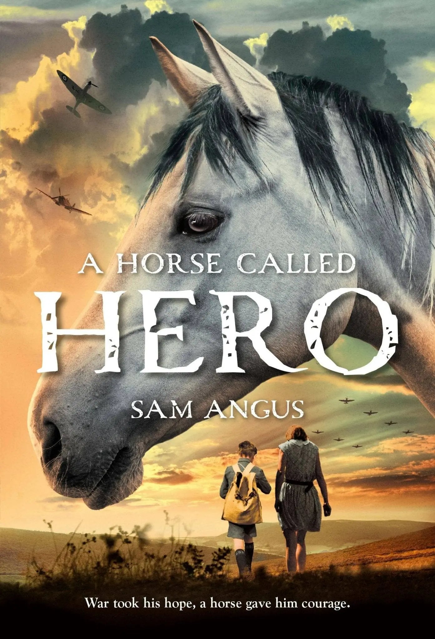 A Horse Called Hero - Bridle Up Hope Shop