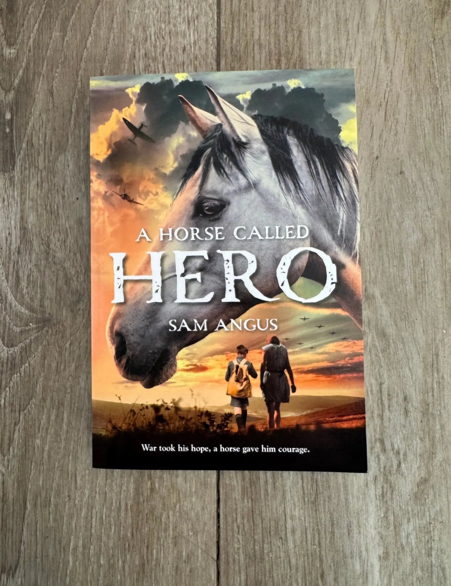 A Horse Called Hero - Bridle Up Hope Shop